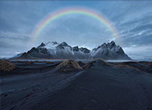 FinchUI 导航版聚合搜索代码