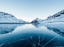 FinchUI 导航版聚合搜索代码