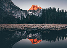 zblogPHP获取全部分类