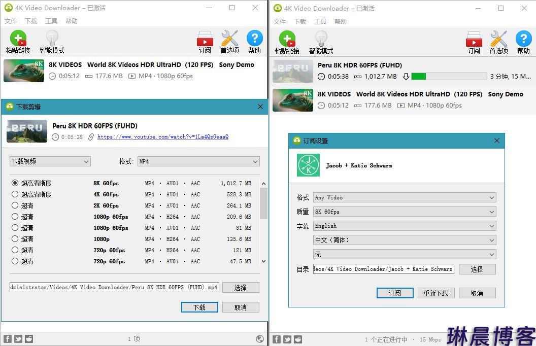 4K Video Downloader v4.31.0.0092便携版 第1张